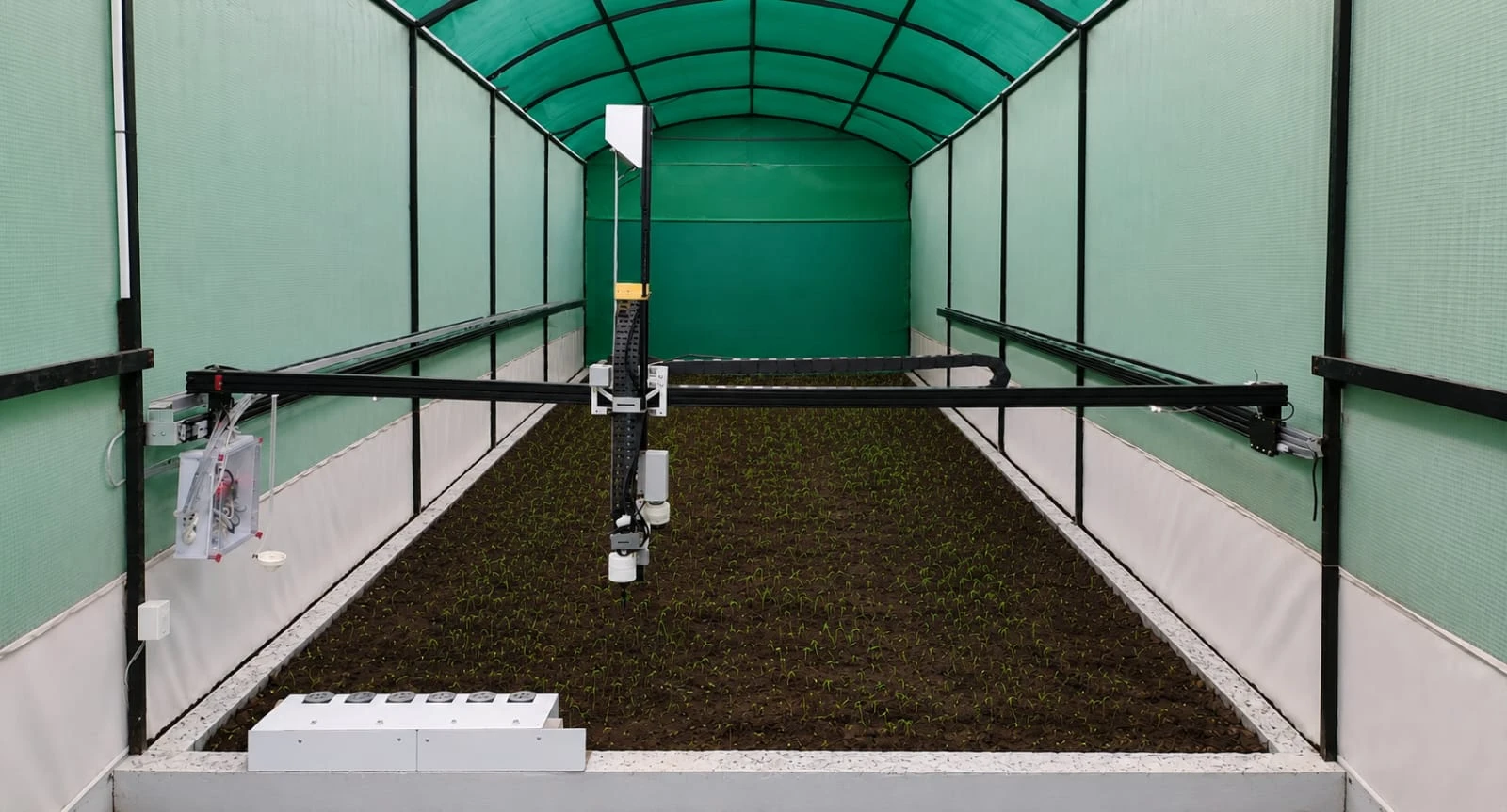 Edenix installed in a polyhouse, seedlings growing along the full length of the bed